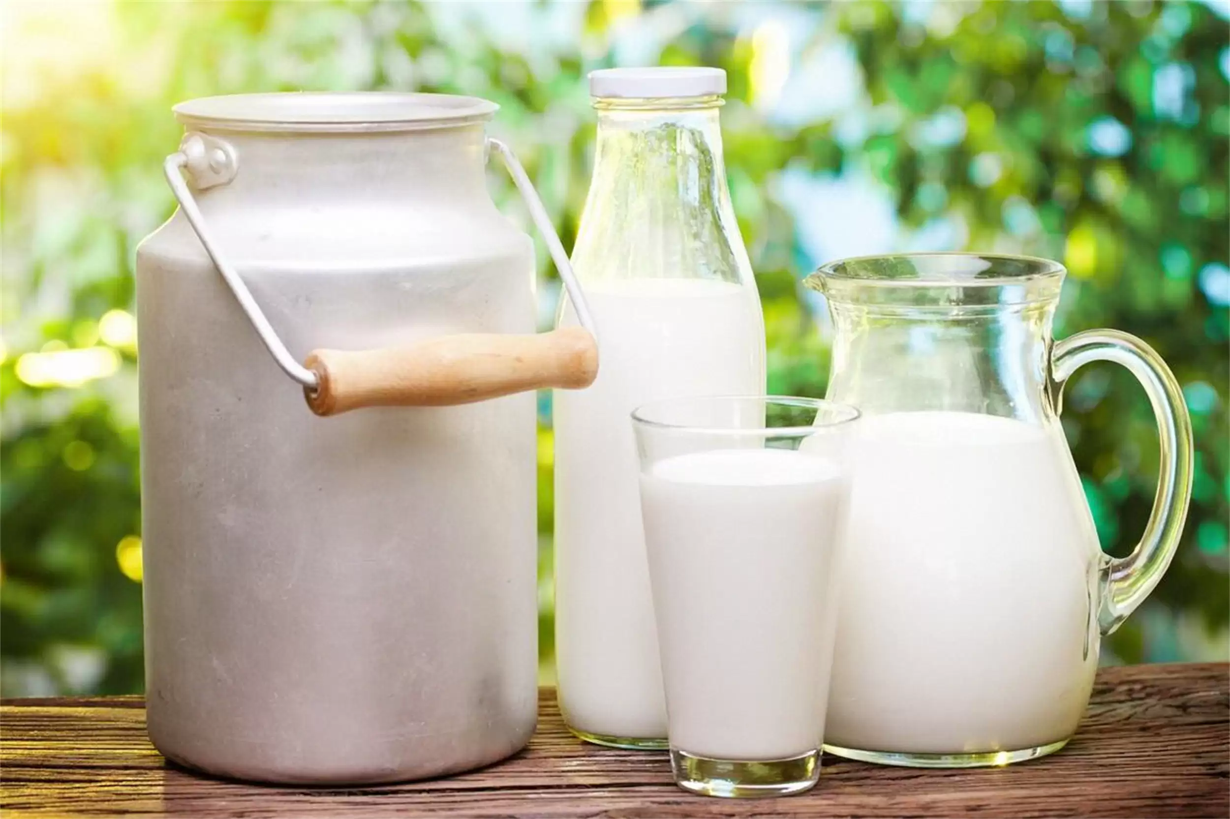 立冬食材推荐：四种食材养肤健精神插图9