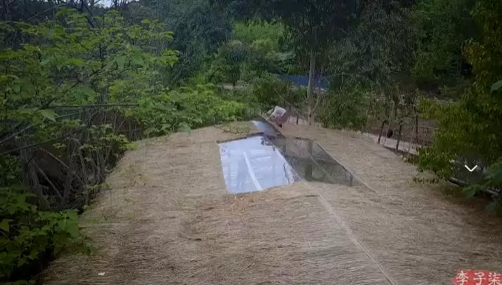 李子柒回归，全手工打造田园生活新篇插图34