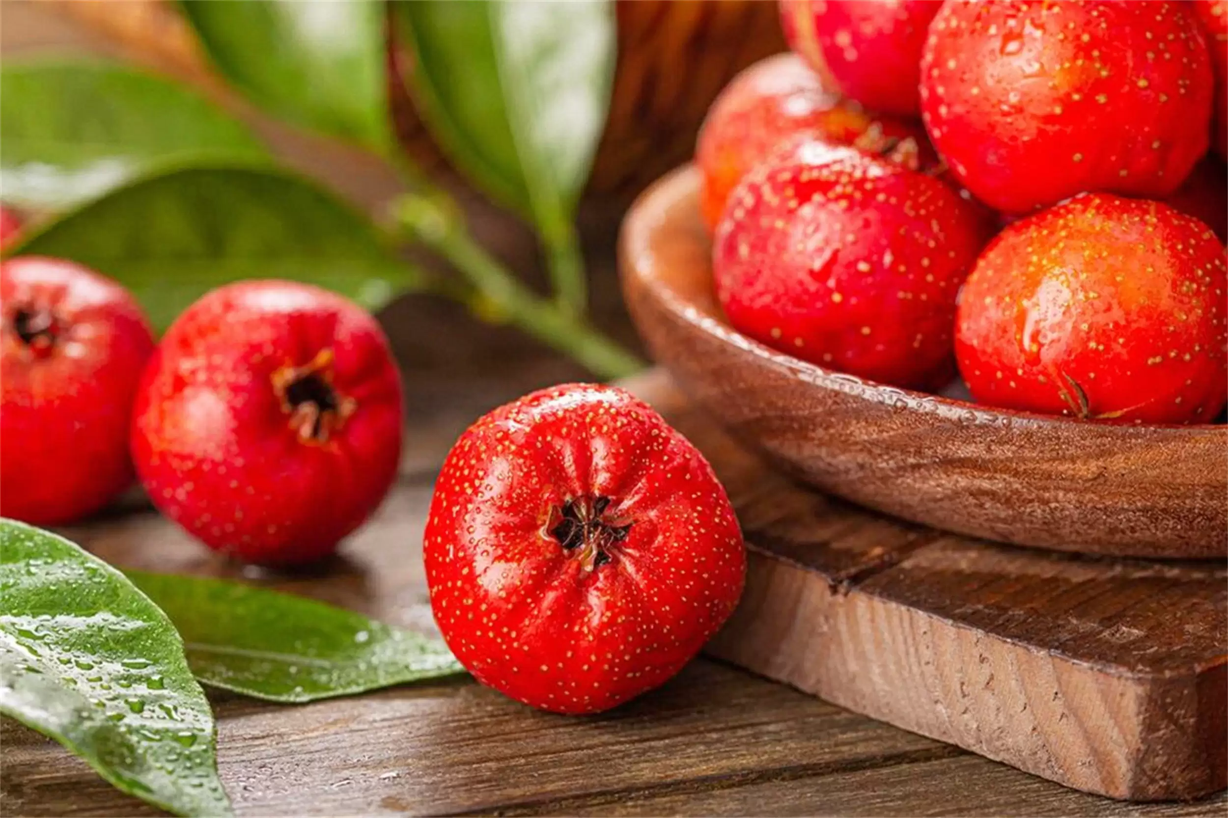 秋末养生菜：四种“黄金菜”助力入冬插图10