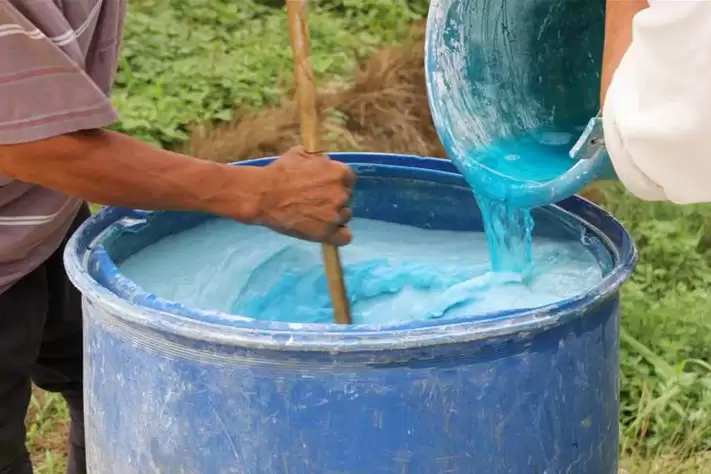 胖东来停卖蔬菜揭秘：农残问题引重视插图3