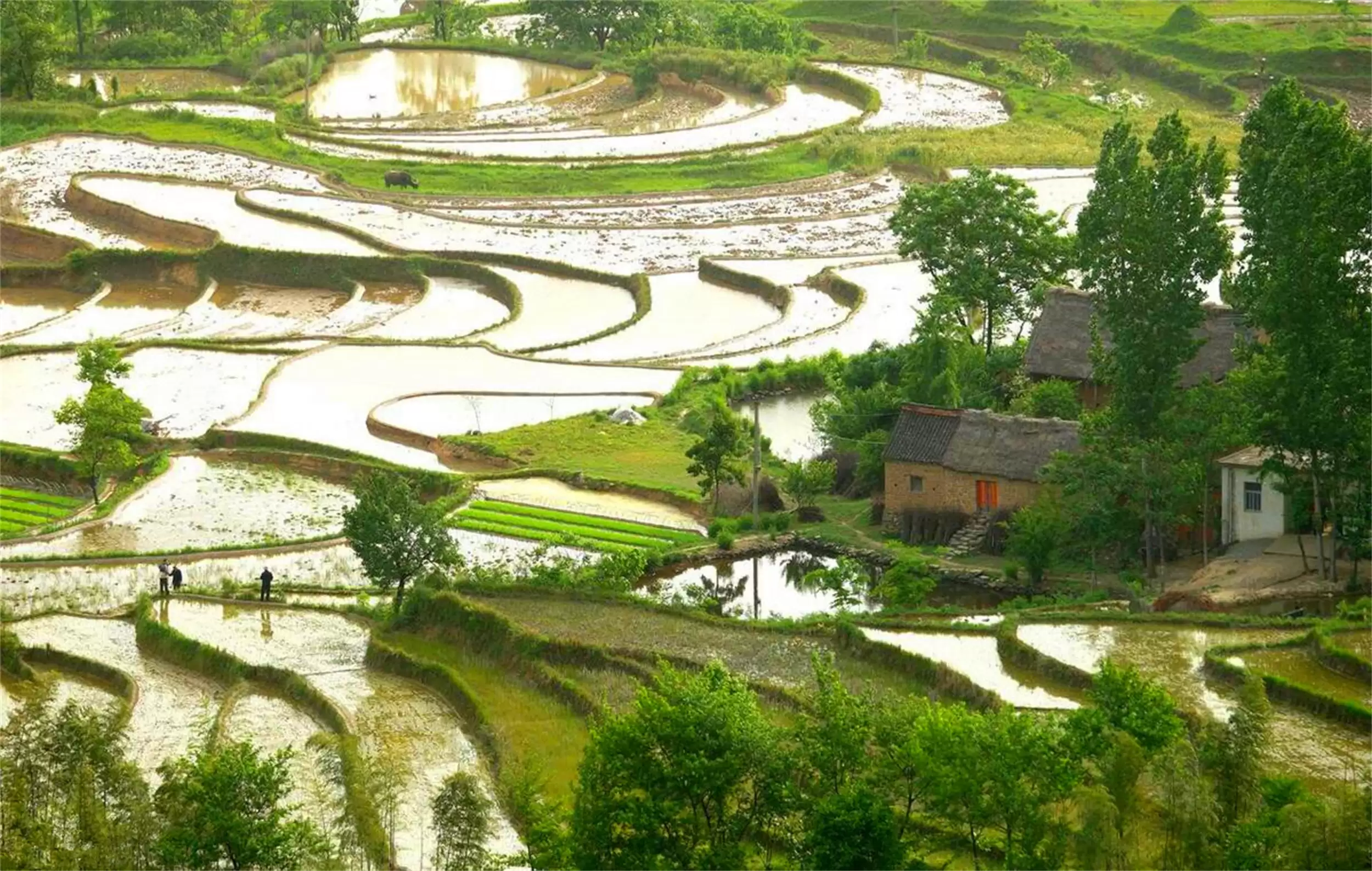 我国五个“异类城市”，特色归属引热议插图4