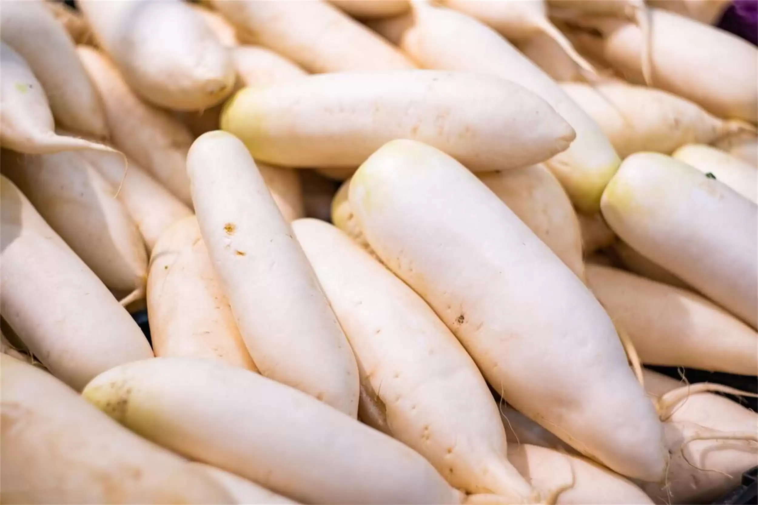 寒露饮食指南：“3白2红”增强体质插图1