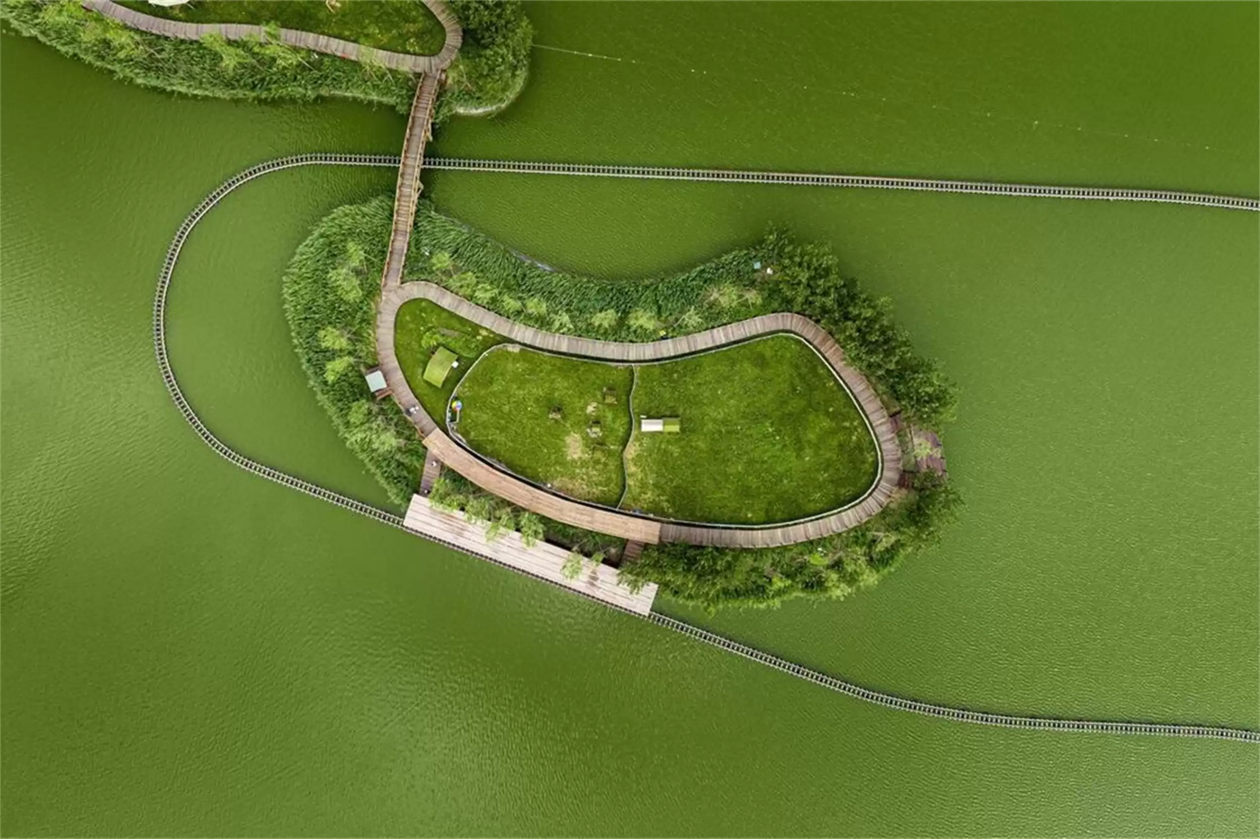 除阳澄城外的螃蟹推荐：六种名蟹待品尝插图4