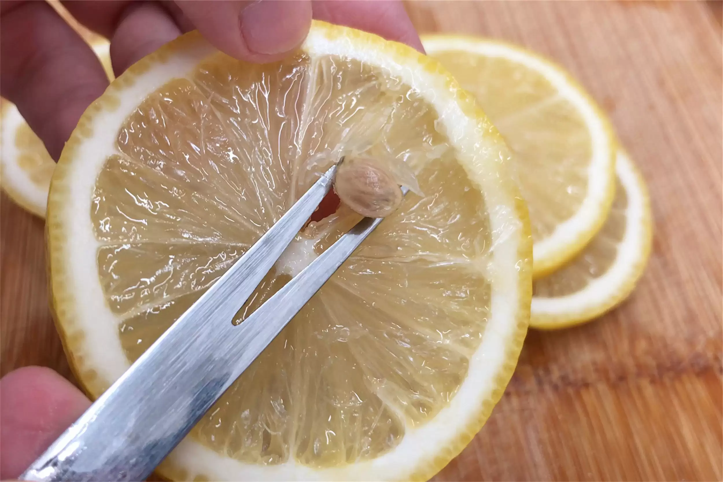 苹果橙子热茶：处暑后饮品新选择插图6