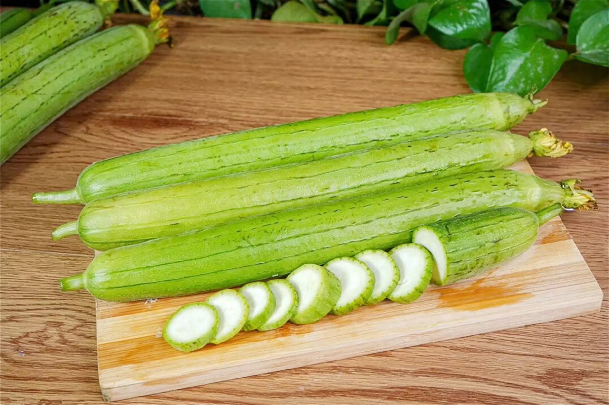 秋日丝瓜菜谱五则,营养滋补好滋味-会东网