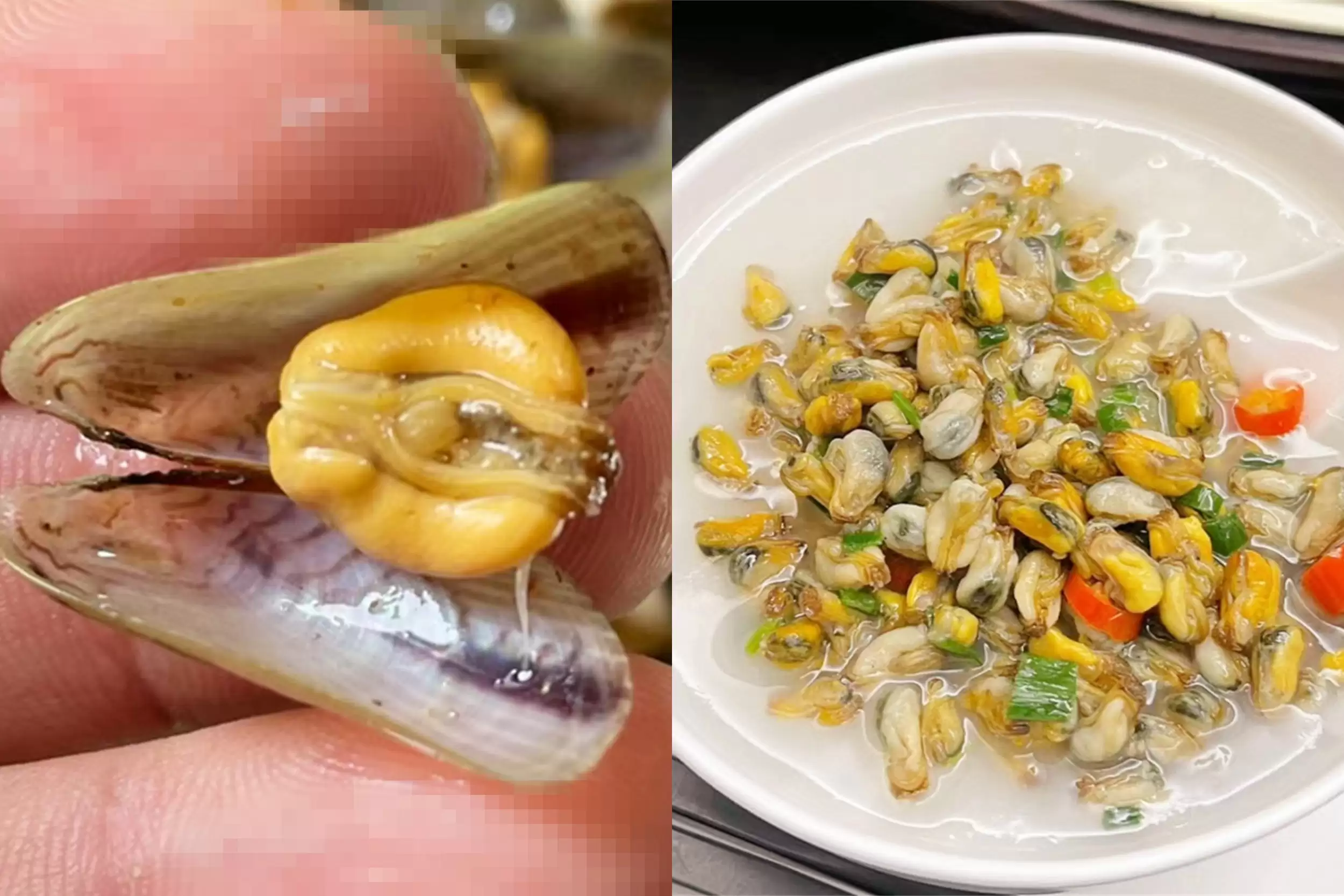 海边海鲜绝配：五种搭配尽显巧思插图18