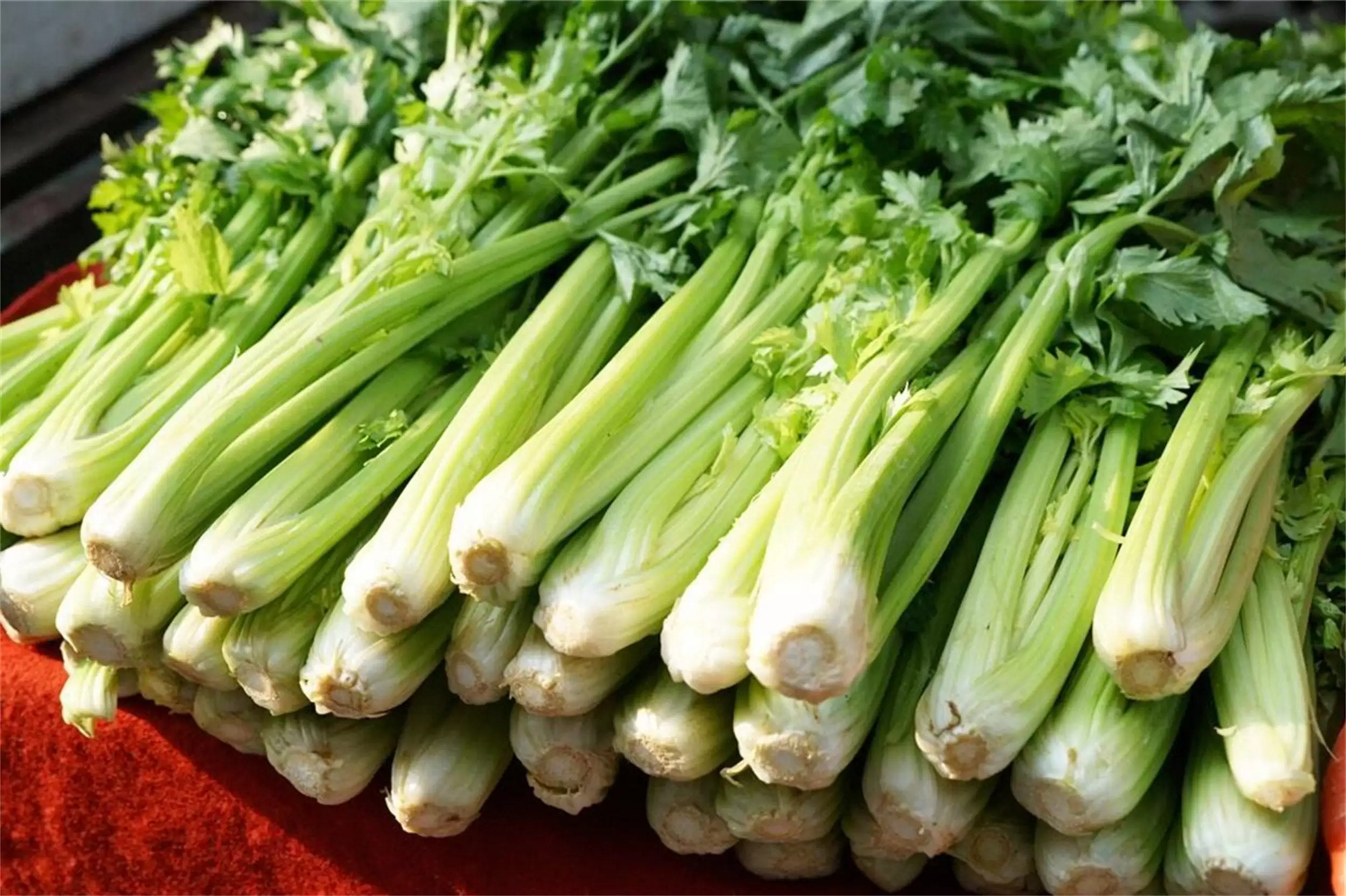 霜降饮食注意：“1避2忌3补”入冬插图5