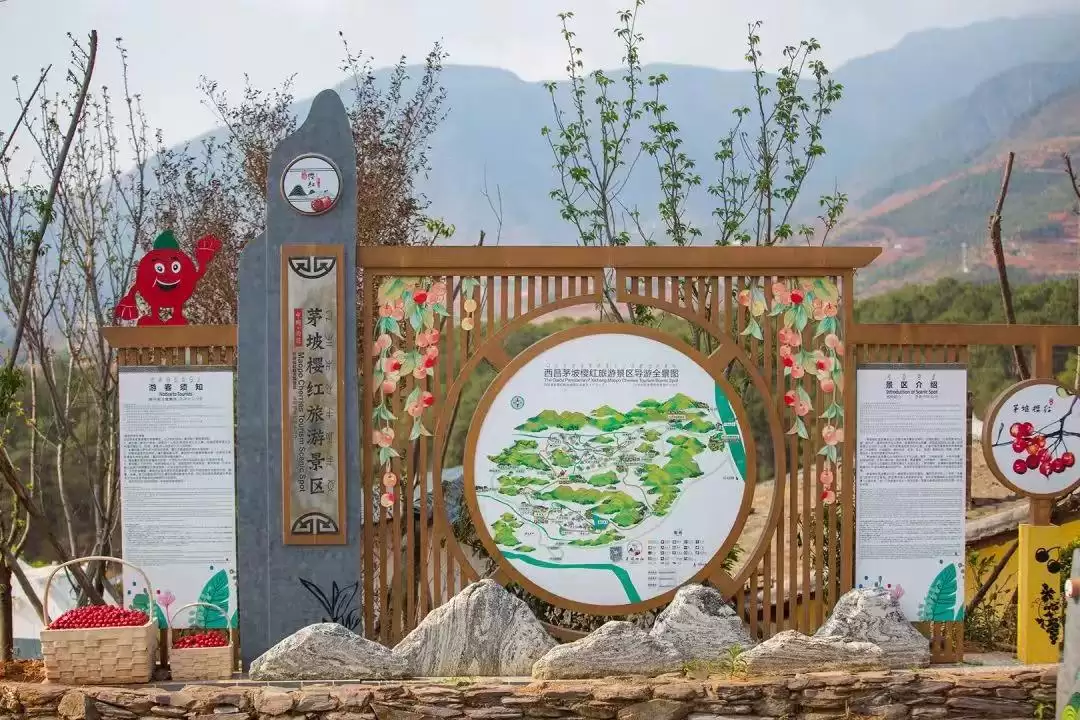 西昌城乡融合大发展，振兴乡村踏上加速度征程！插图4