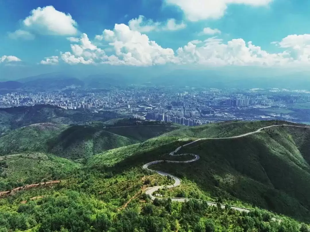 西昌筑梦绿色生态立市，引领高质量发展新方向！插图4