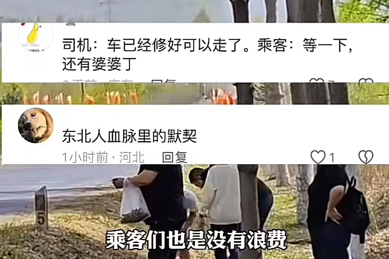 四大“松弛感”省份，悠闲生活引向往插图19