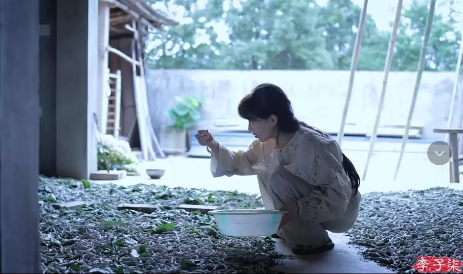 李子柒新视频：4个“非遗”惊艳众人插图3