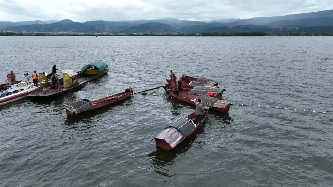 西昌邛海开海节盛大举行，568斤鱼王拍出高价88万！插图17