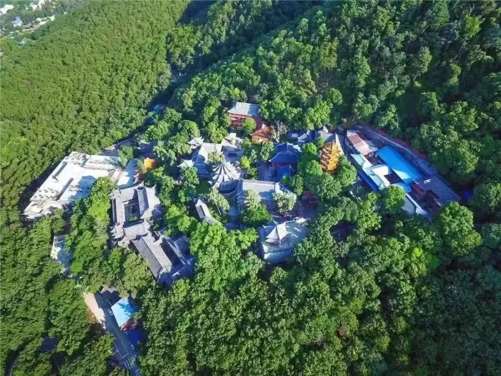 西昌筑梦绿色生态立市，引领高质量发展新方向！插图3