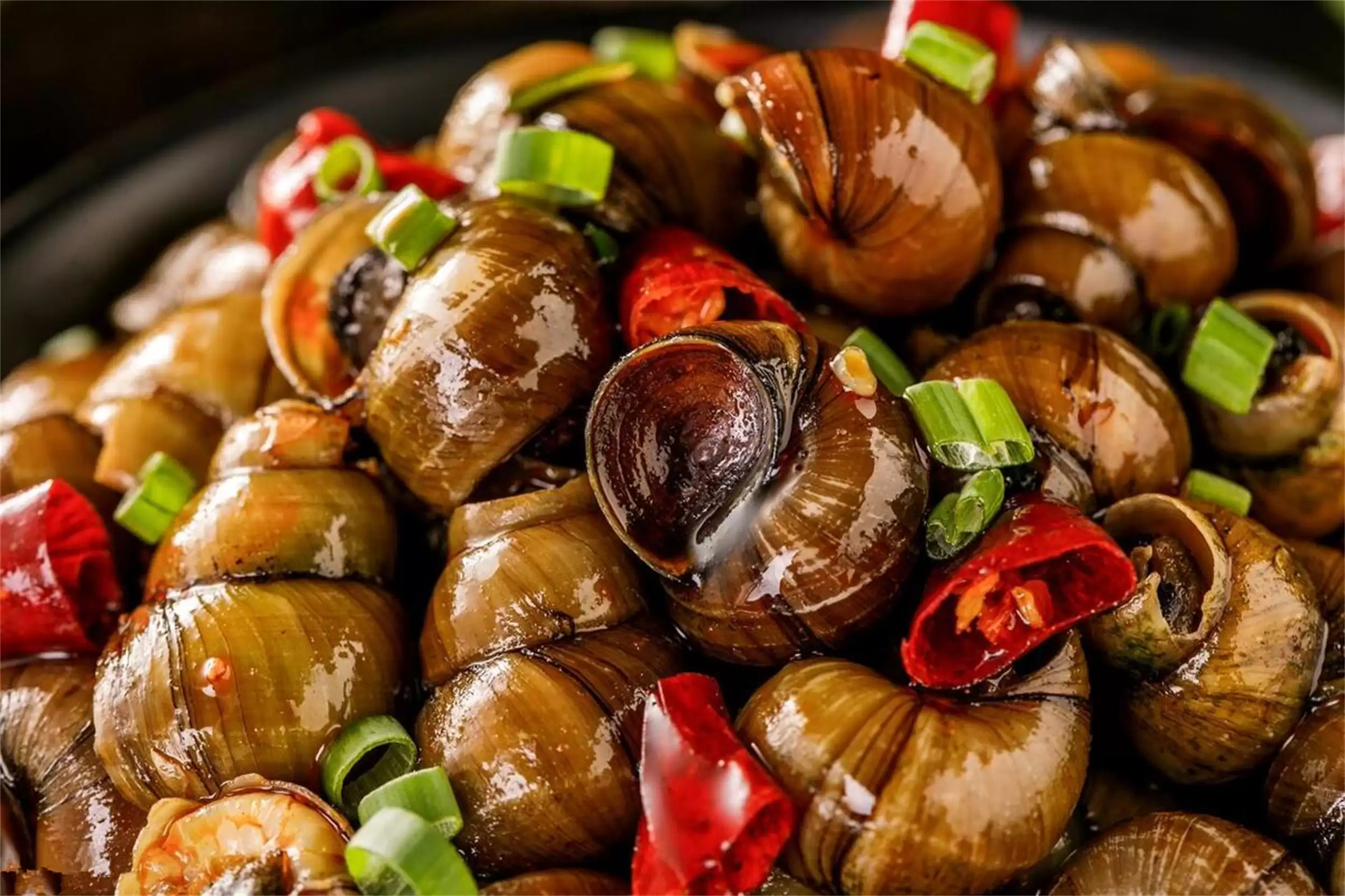 南北中秋差异：三大方面各有特色插图6