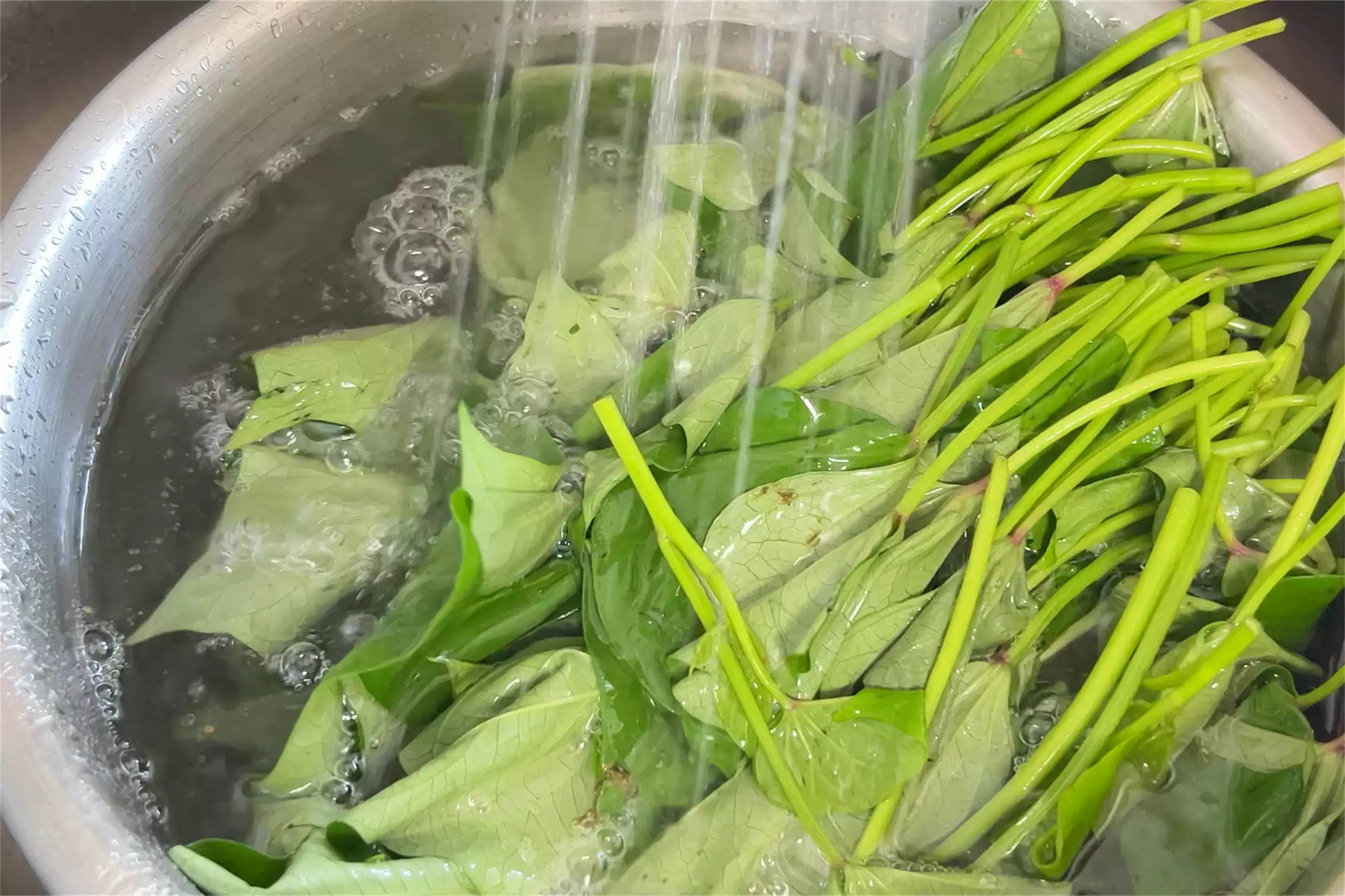 入秋素菜推荐：两道清爽开胃佳肴插图10