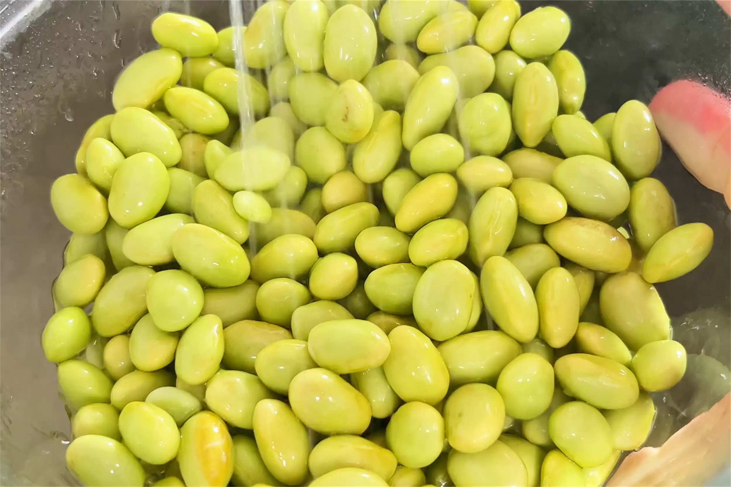 秋吃豆佳肴：两道家常菜下饭下酒插图3