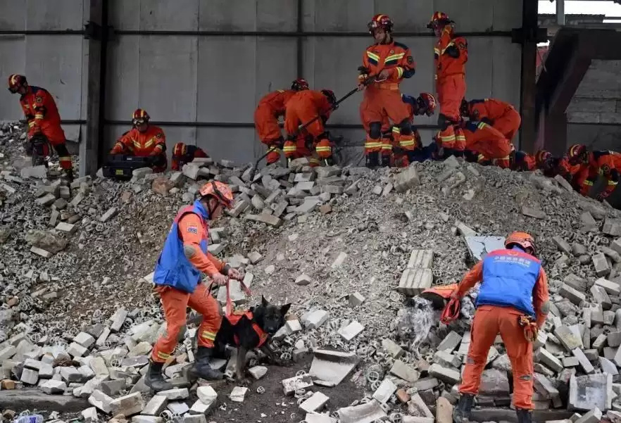 西昌韧性城市建设推进，织安全网绘生态新篇行动！插图11