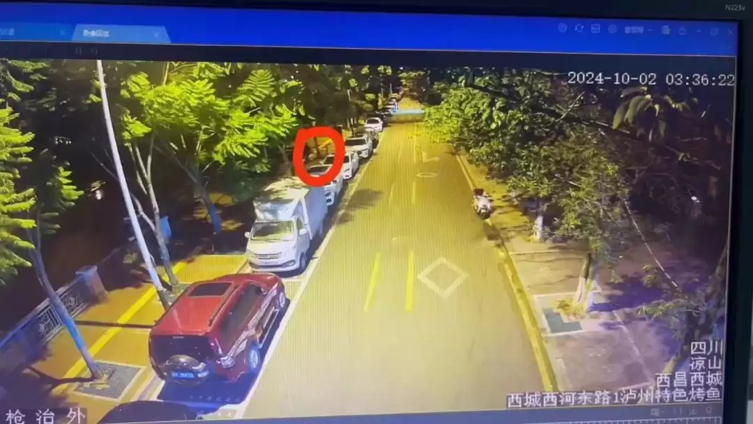 西昌公安破获“拉车门”案，夜幕下黑手无处遁形！插图1