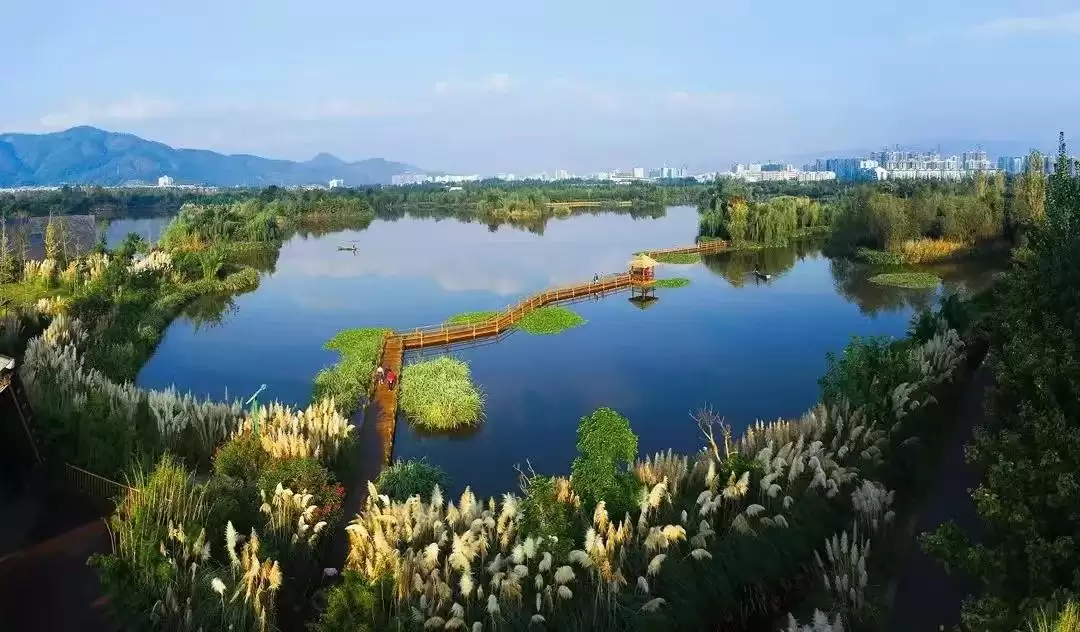 西昌阳光康养之旅等你来，说走就走无需犹豫！插图2