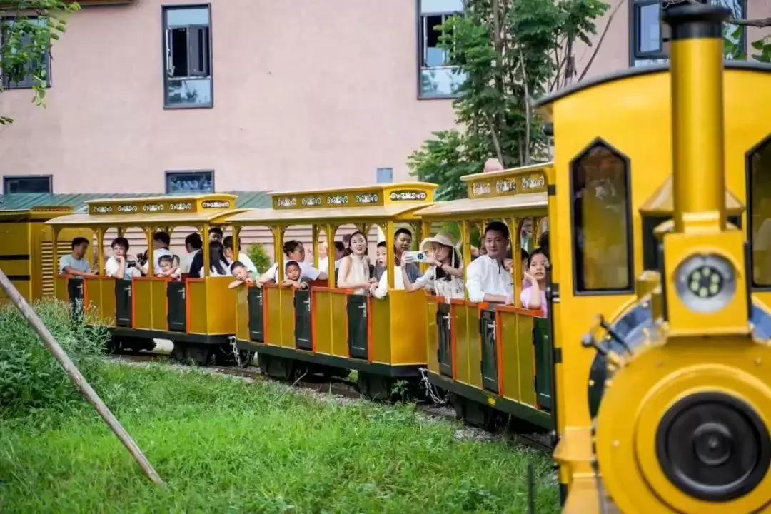 海南街道文旅融合，推动西昌乡村振兴新发展！插图2