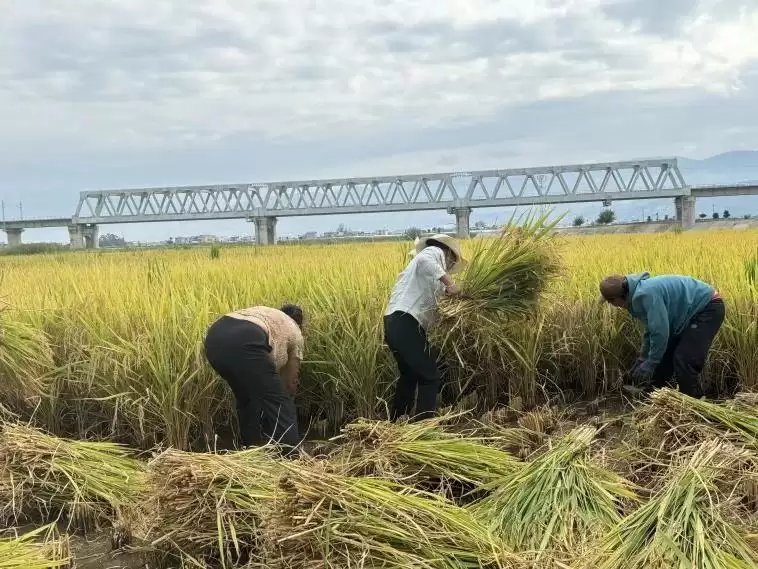 丰收时节西昌多彩活动，共庆岁稔年丰新景象！插图4