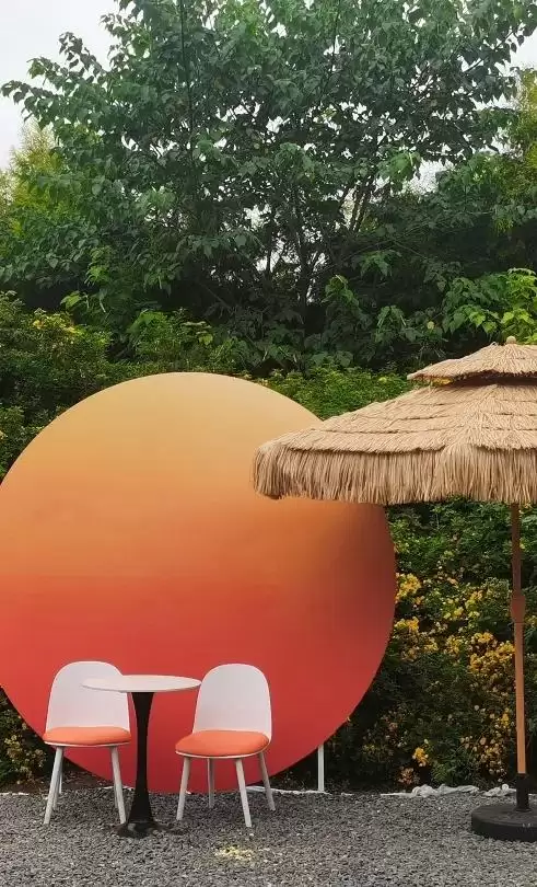 2024西昌邛海湿地第五届金秋菊展圆满落下帷幕！插图4