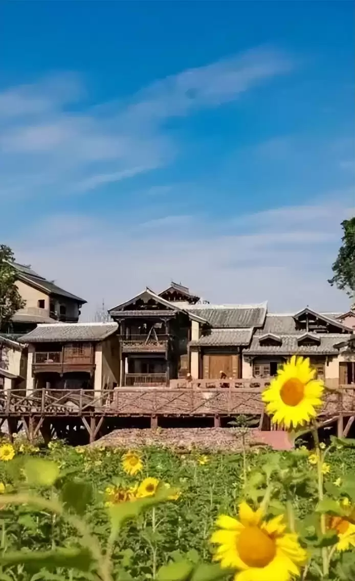 西昌版三折叠特色足，怎么展示都彰显独特魅力！插图25