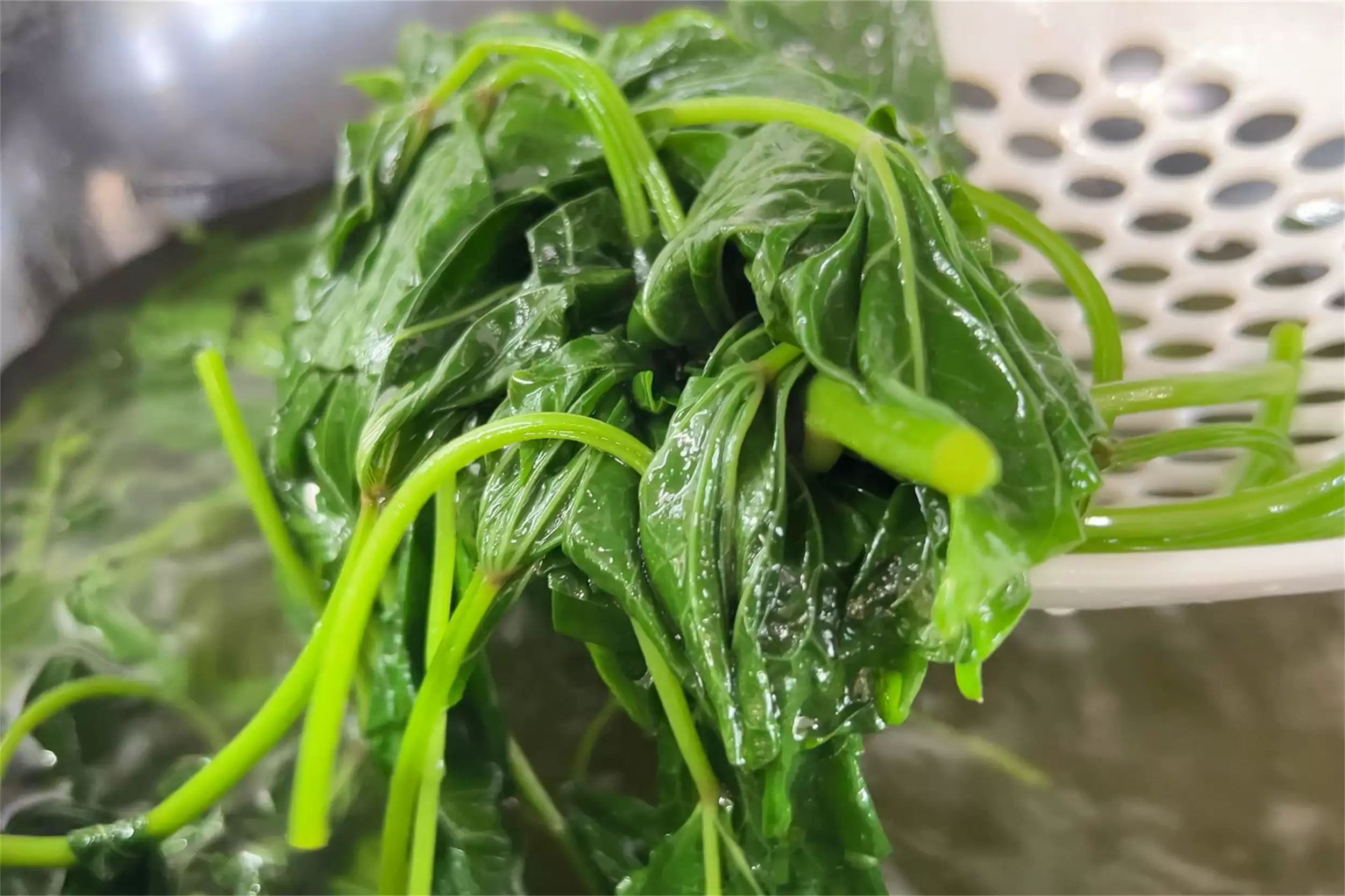 入秋素菜推荐：两道清爽开胃佳肴插图11