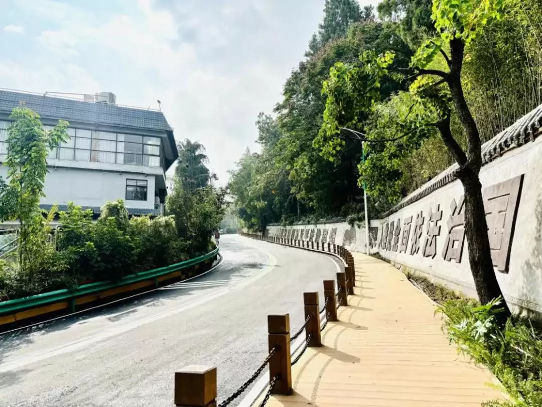 泸山景区提质升级“焕新”，旅游品质提升新形象！插图3