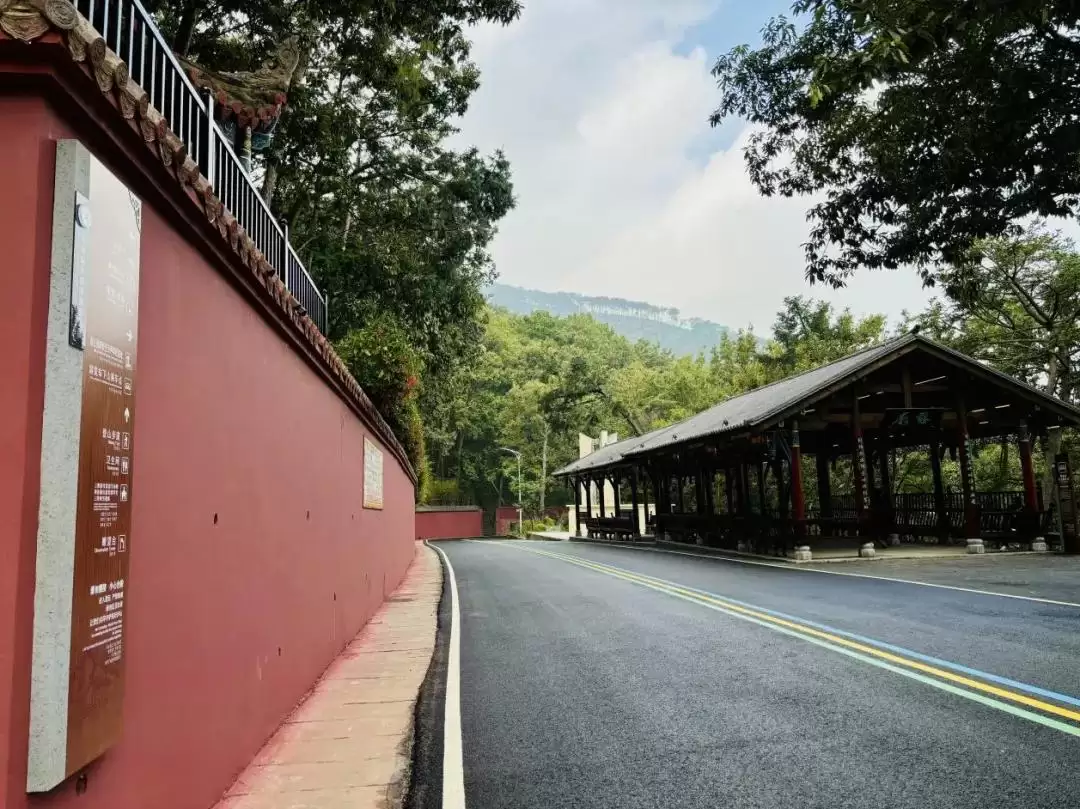 泸山景区提质升级“焕新”，旅游品质提升新形象！插图8