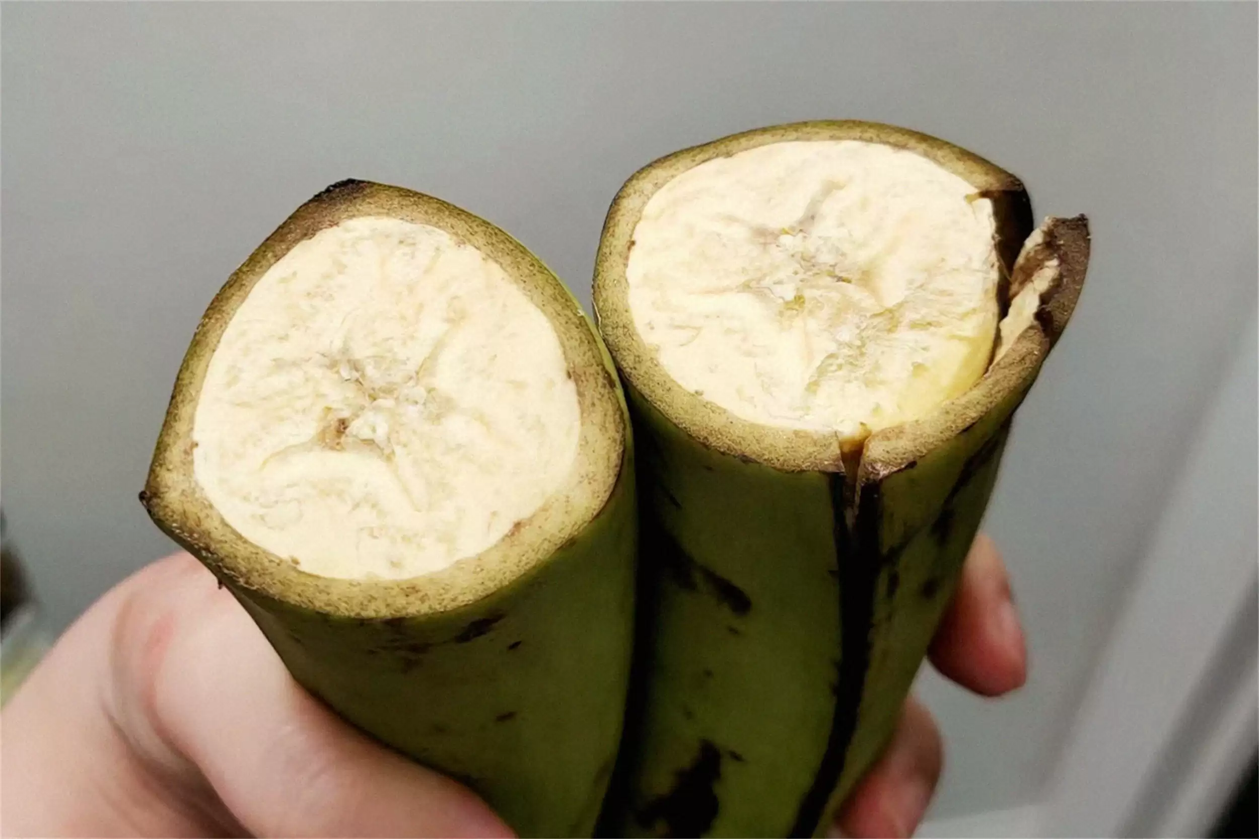 非洲主食大揭秘：四种食物撑起饮食插图17