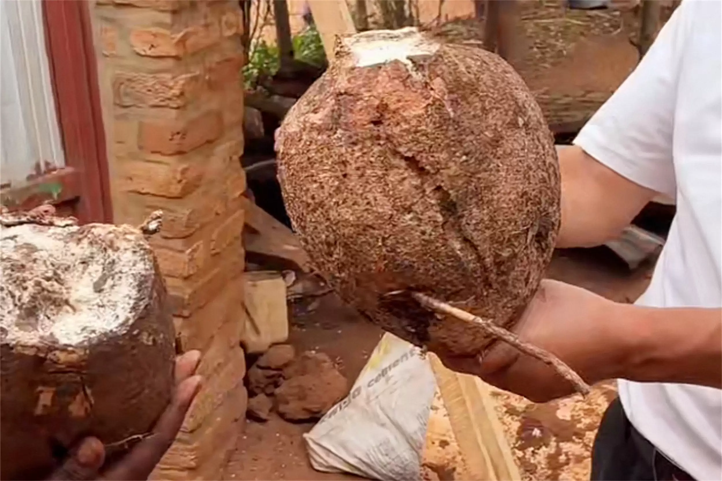 非洲主食大揭秘：四种食物撑起饮食插图2