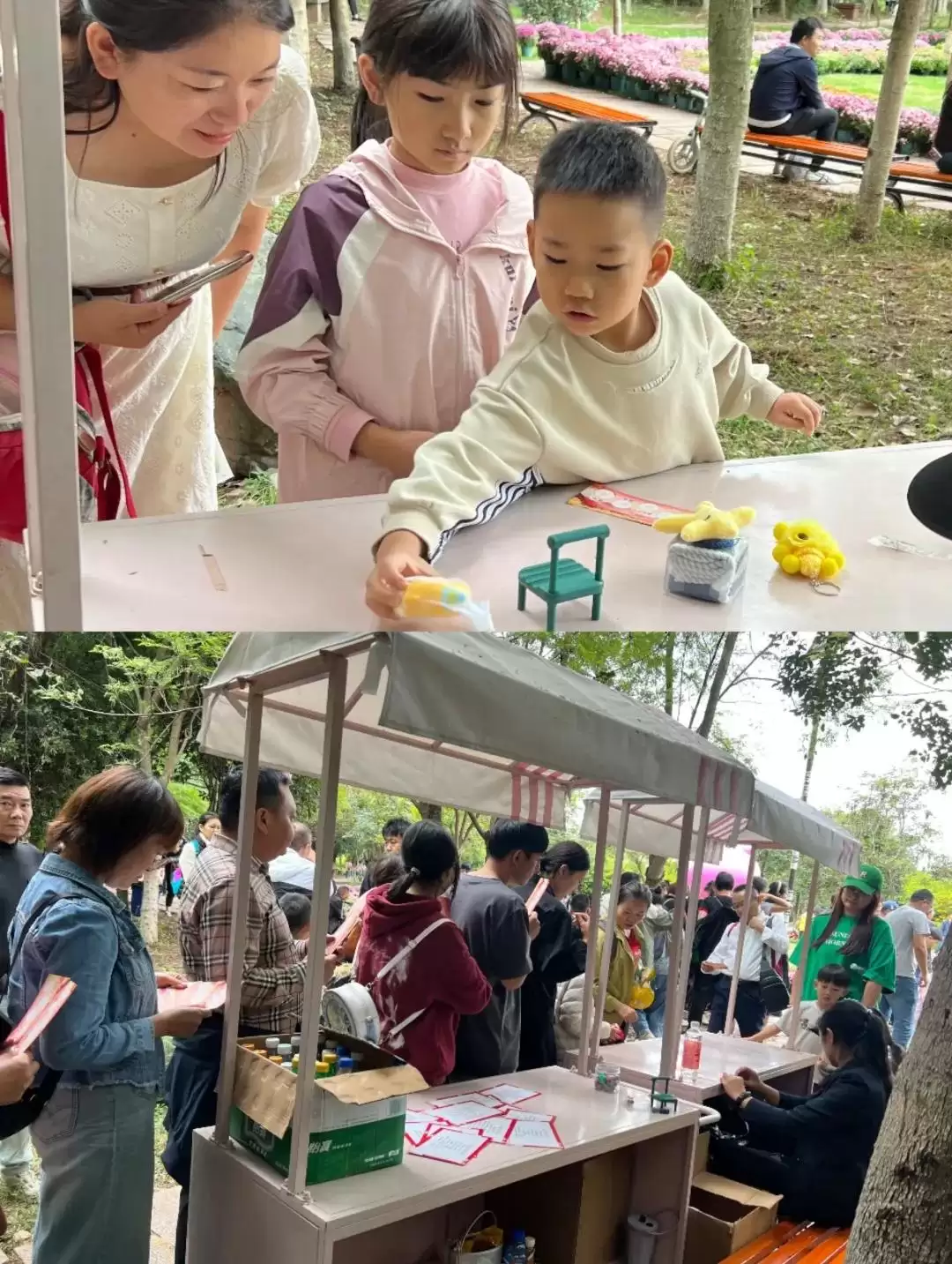 2024西昌邛海湿地第五届金秋菊展圆满落下帷幕！插图7