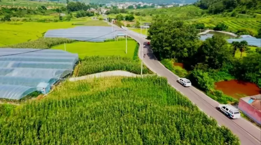 西昌城乡融合大发展，振兴乡村踏上加速度征程！插图6