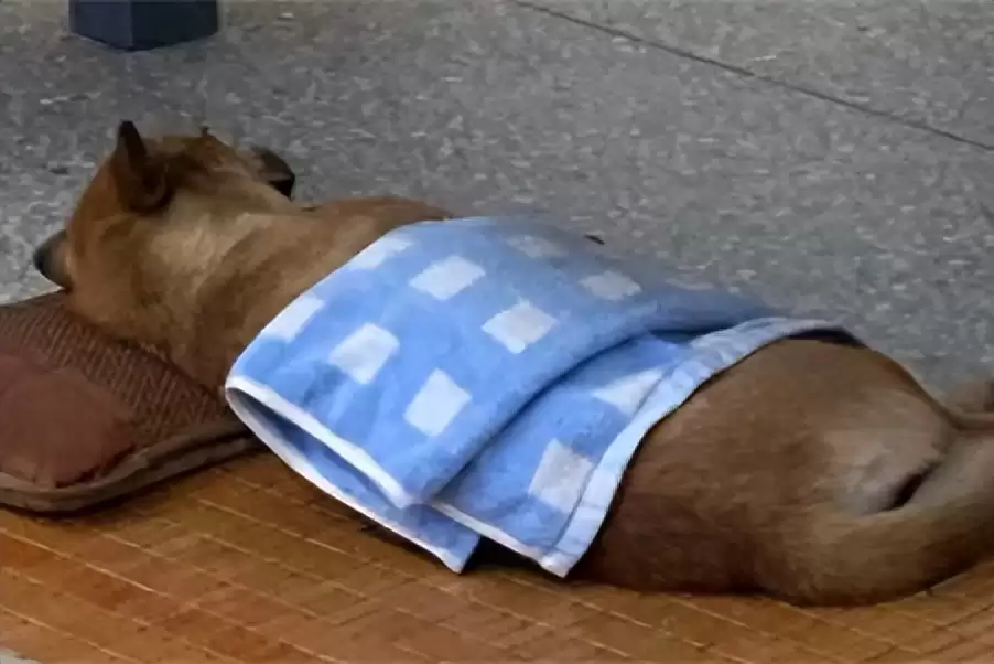 四大“松弛感”省份，悠闲生活引向往插图13