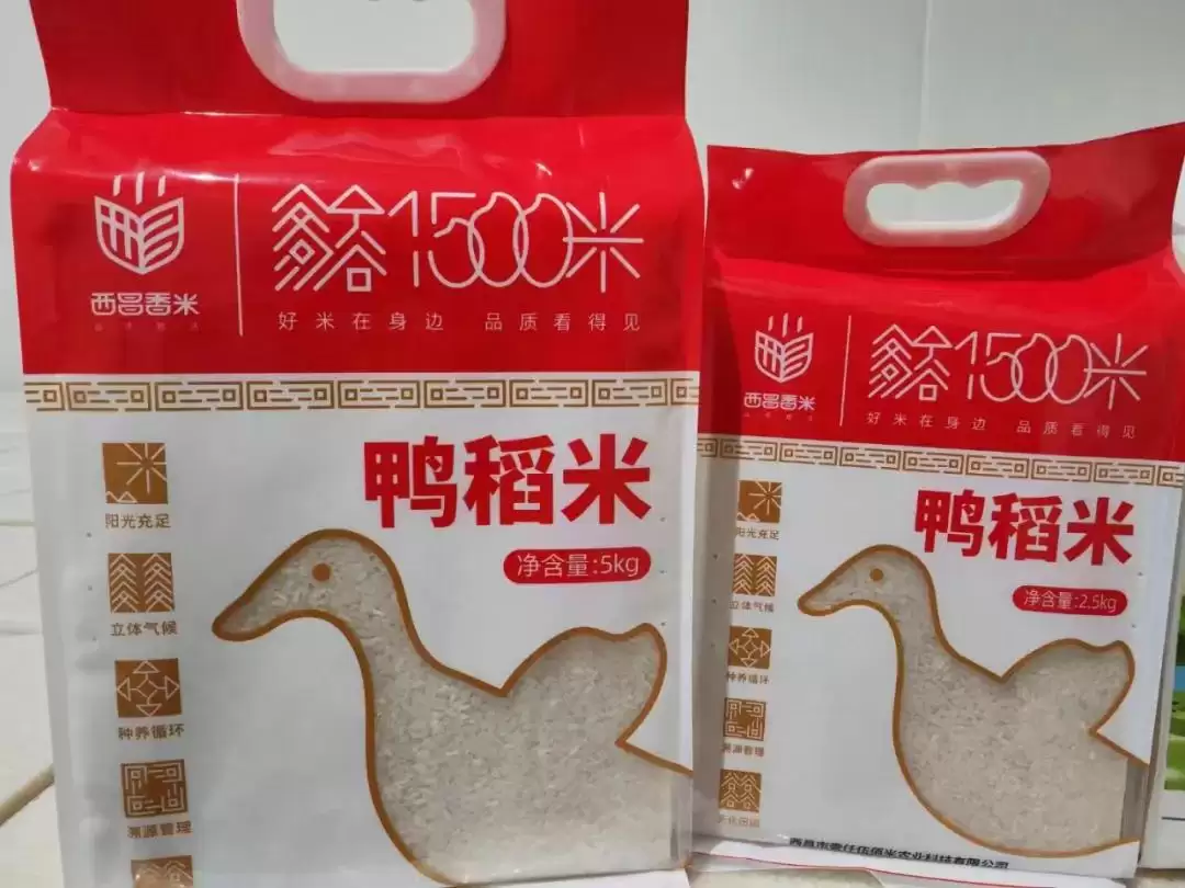 西昌大米浙江获奖，品质优良香飘千里获殊荣！插图2