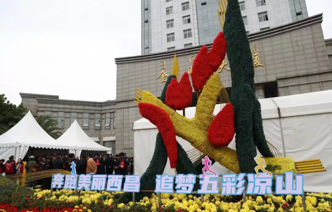 西昌热情全开，明日邛海湿地马拉松盛大开跑预告！插图1