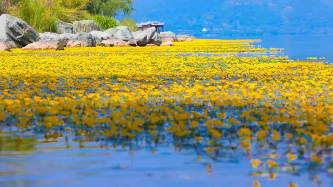 秋天第一场旅行就选西昌，开启秋日美好旅程！插图2