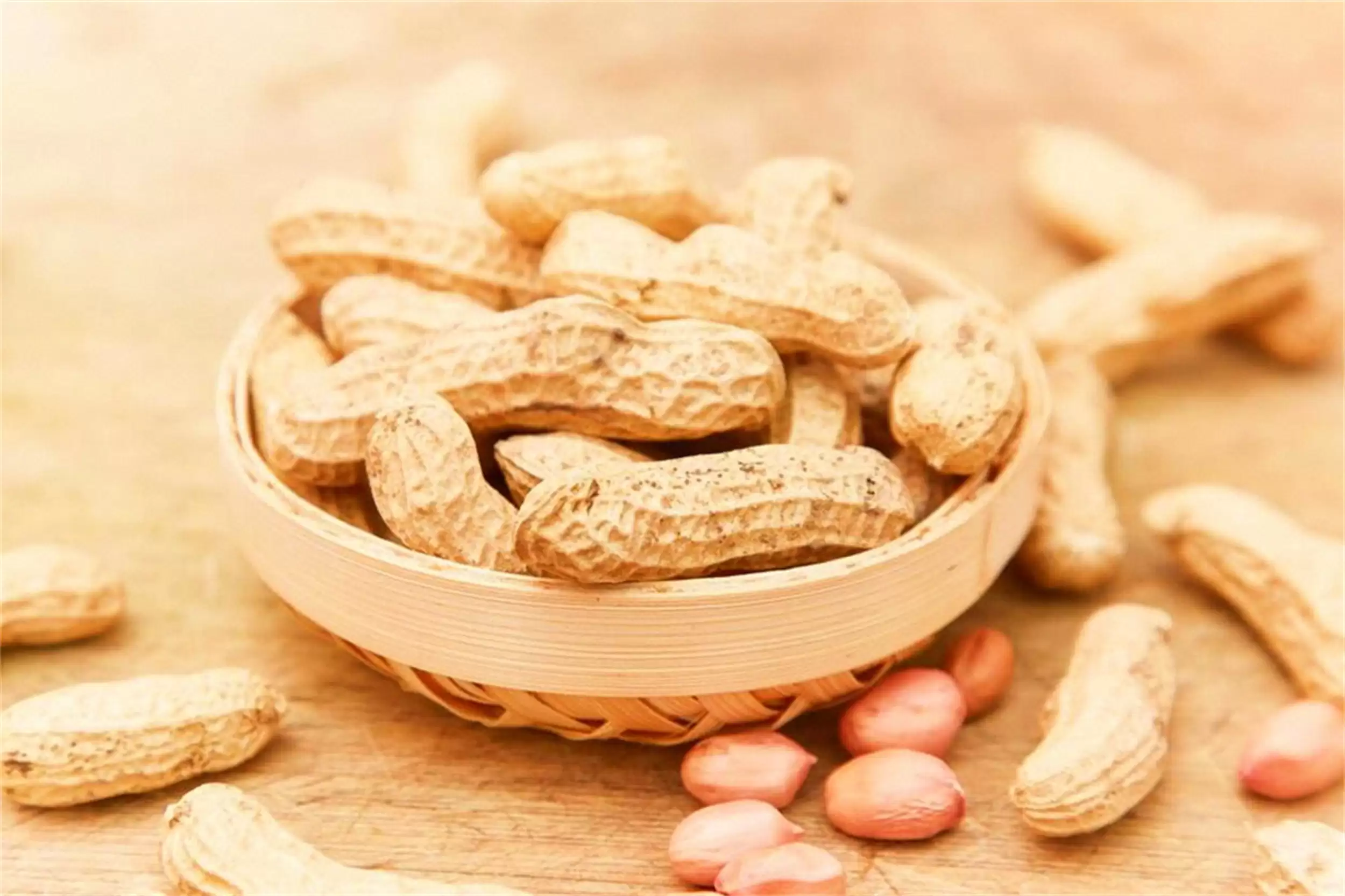 出伏饮食指南：“3根2菜”助力健康插图4