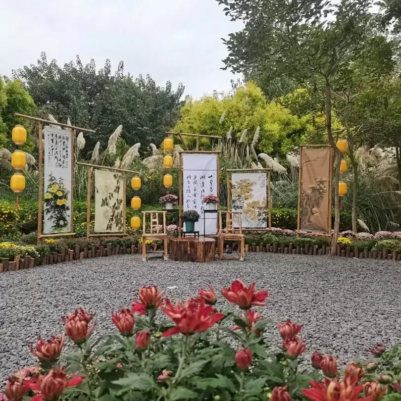 2024西昌邛海湿地第五届金秋菊展圆满落下帷幕！插图1