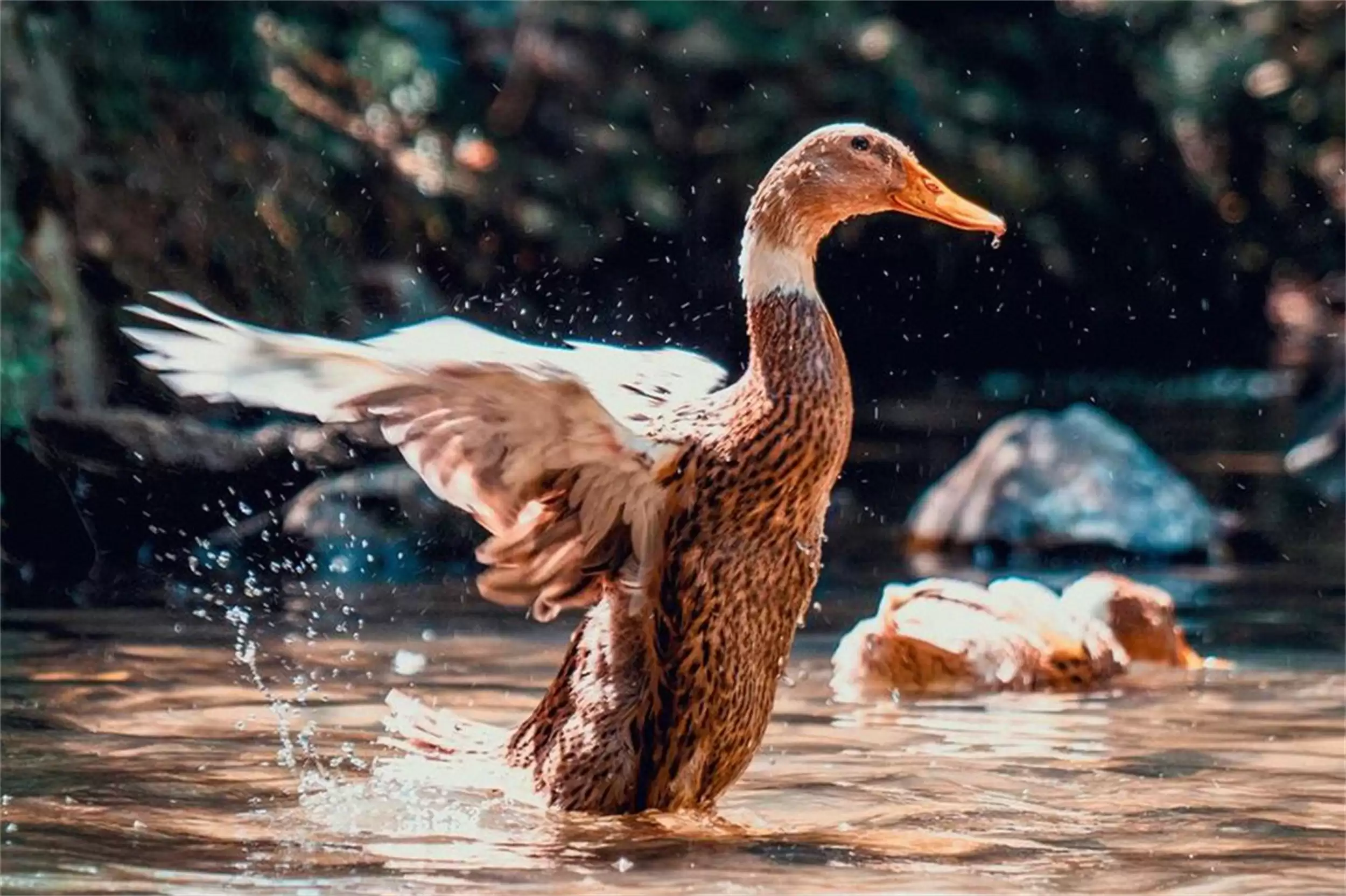 中元节“吃3宝”习俗，平安顺遂祈愿插图7