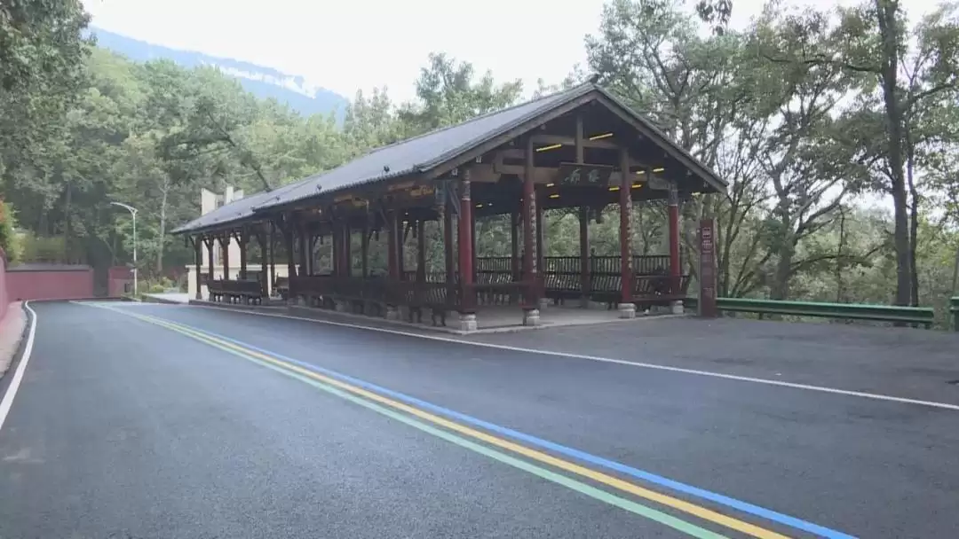 泸山景区提质升级“焕新”，旅游品质提升新形象！插图7