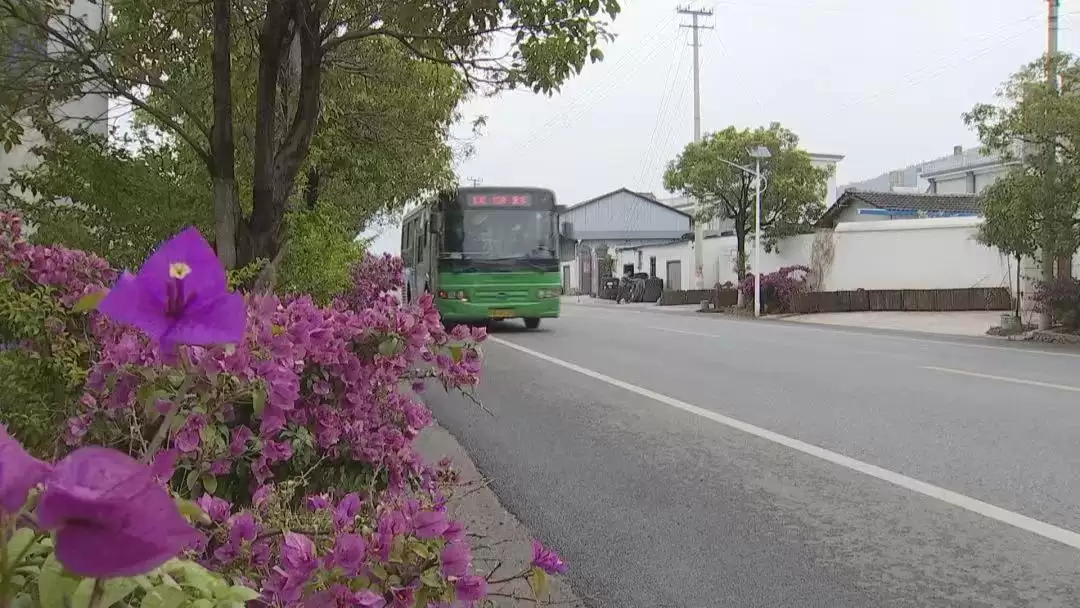 西昌城乡融合大发展，振兴乡村踏上加速度征程！插图2