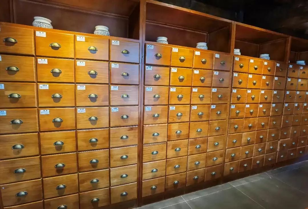 建昌古城迎来新成员，邛泸医馆正式落地启用！插图5