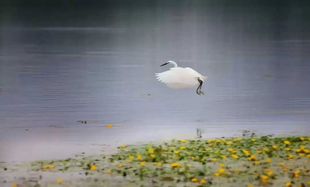 西昌“消暑”清单来啦，清凉好去处推荐给你选择！插图3