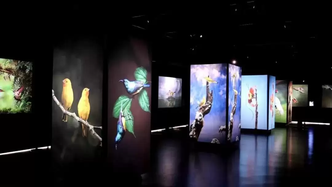 国庆西昌游玩攻略发布，旅游出行参考有方向！插图4