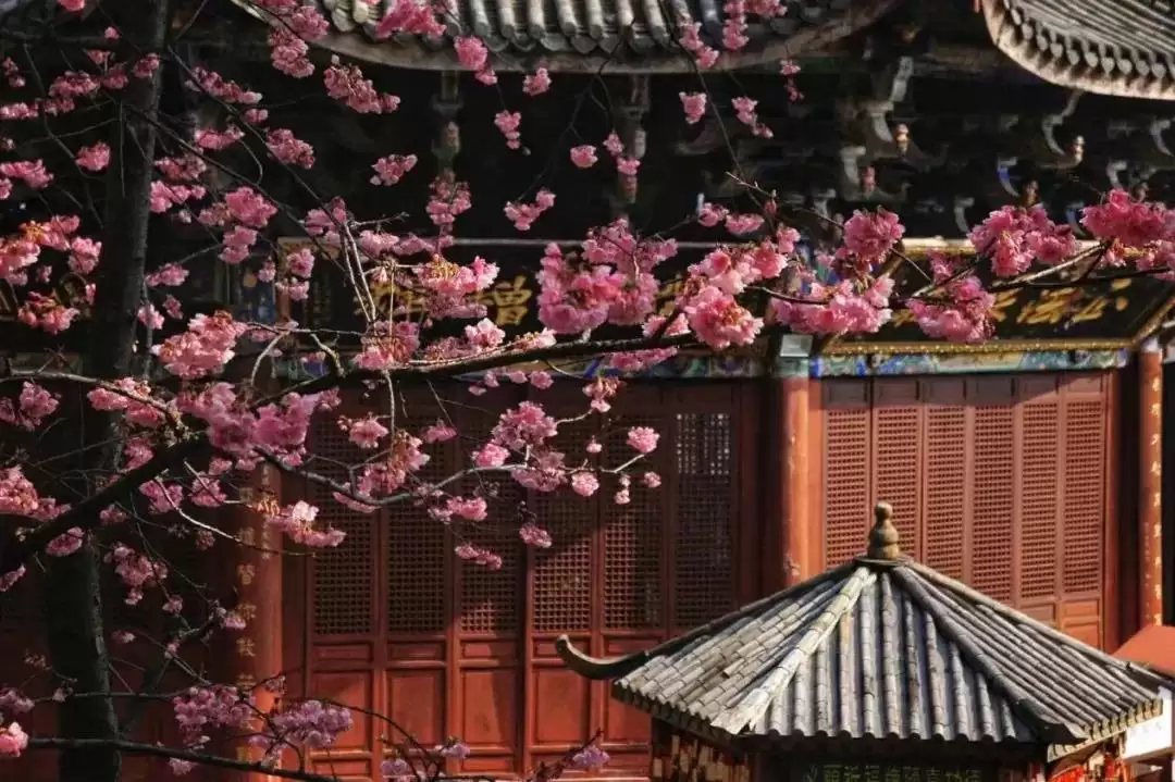 《黑神话：悟空》中式美学，西昌亦有其独特韵味！插图4