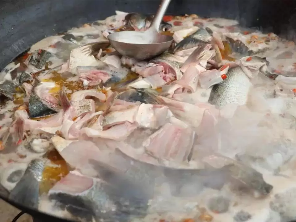 西昌邛海开海节盛大举行，568斤鱼王拍出高价88万！插图14