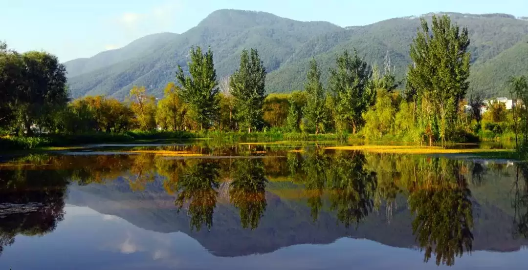 西昌河湖长制成效显，绘就人水和谐美丽新画卷！插图9