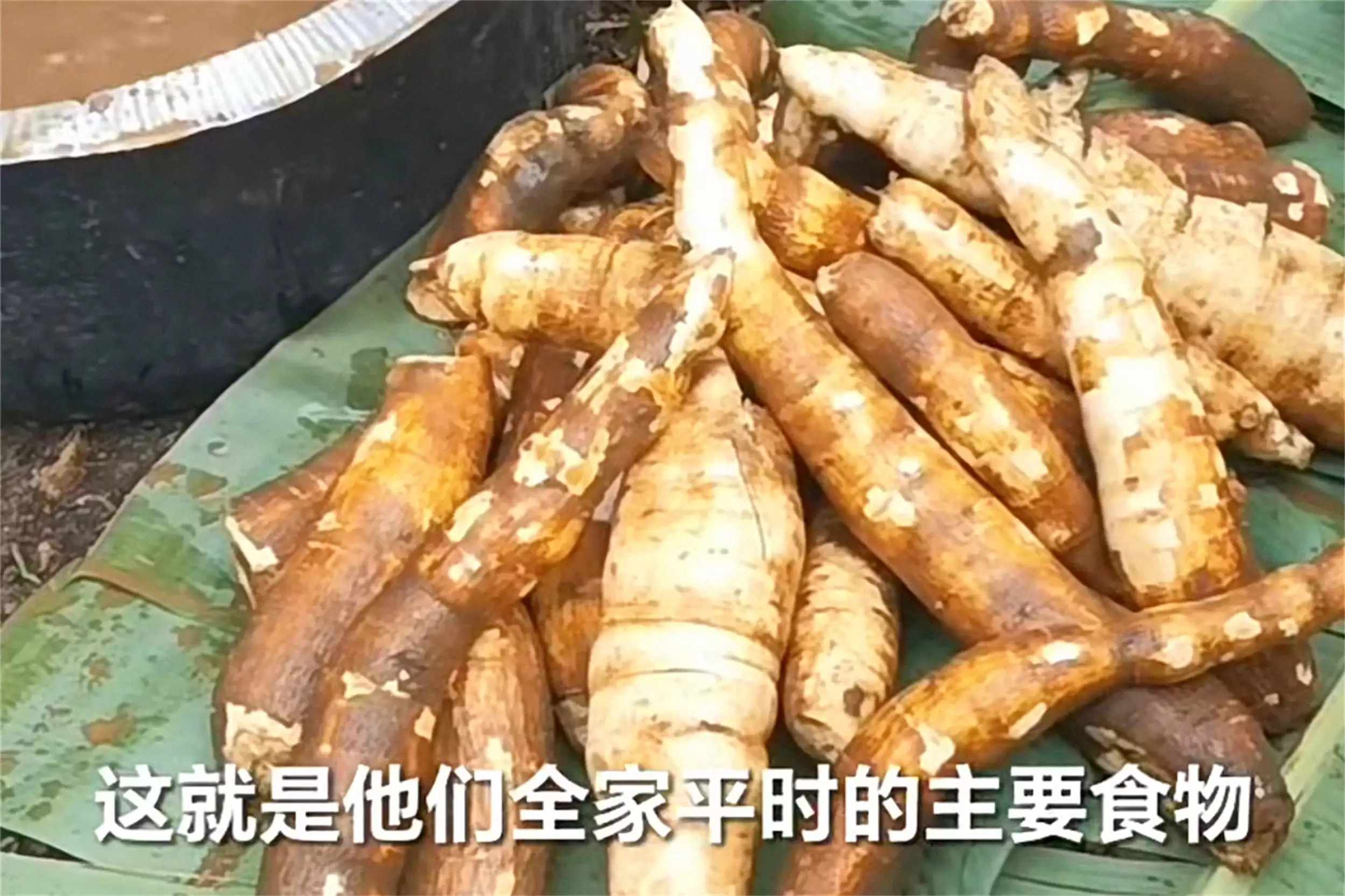 非洲主食大揭秘：四种食物撑起饮食插图4